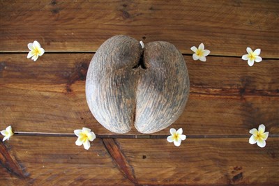 Seychely - najkrajšie pláže sveta